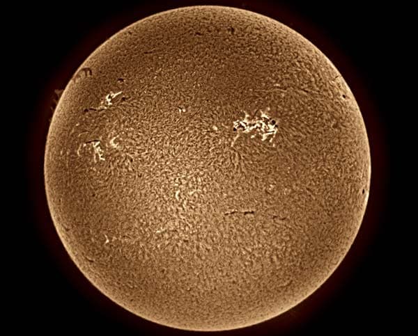 Brown Sun Bubbling