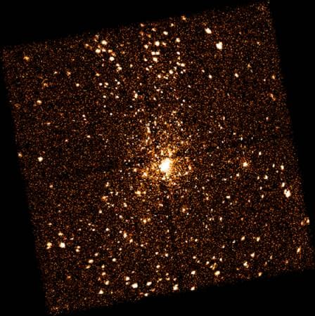 X-Ray Stars Of Orion