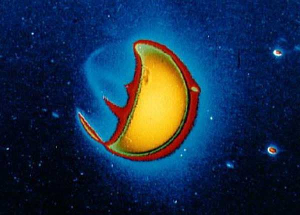 Ultraviolet Earth from the Moon
