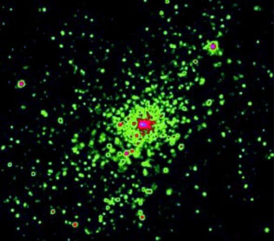 NGC 3603: X-Rays From A Starburst Cluster