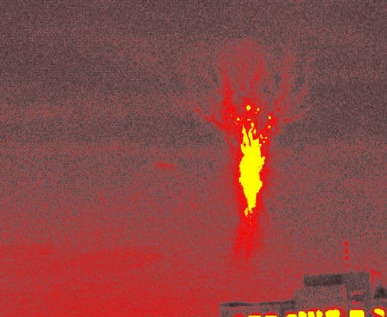 Burning Tree Sprite