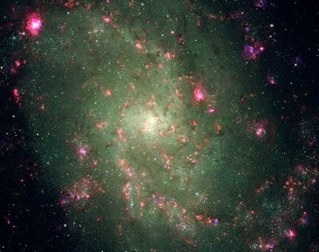 Elements of Nearby Spiral M33