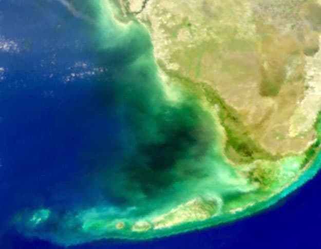 Mysterious Black Water in Florida Bay