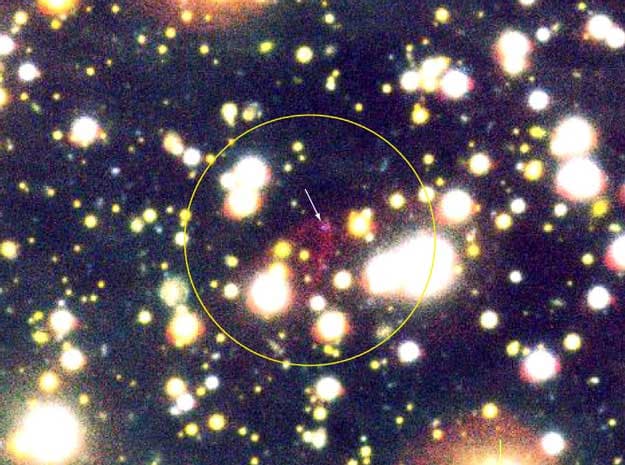 RX J185635-375: Candidate Quark Star