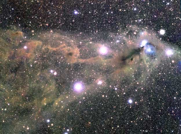 Star Clouds Toward the Southern Crown