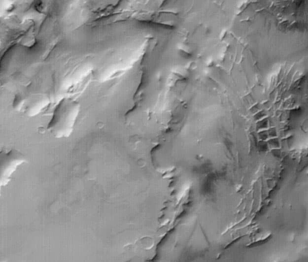 Rectangular Ridges on Mars