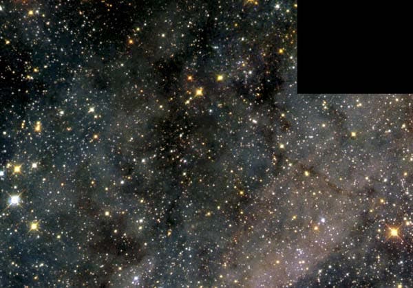 A Magellanic Starfield