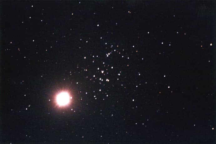 Jupiter in the Hive