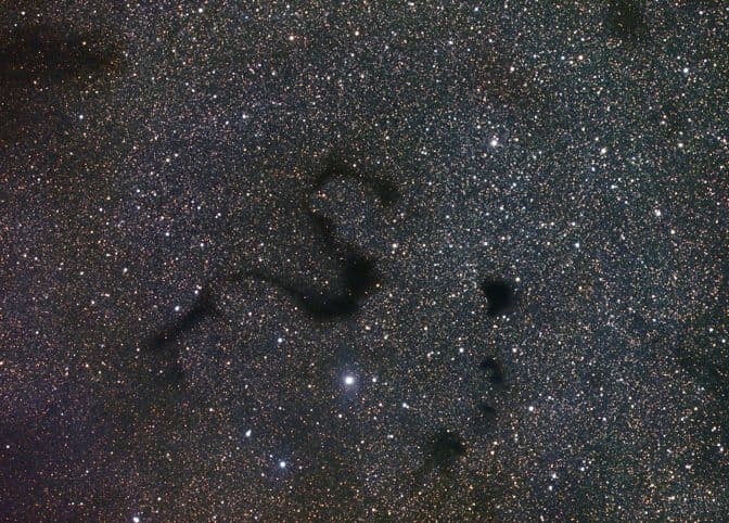 Snake in the Dark