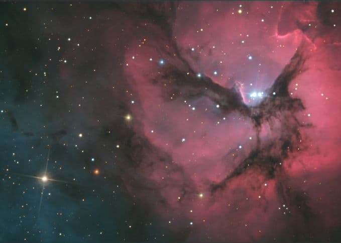 A Beautiful Trifid
