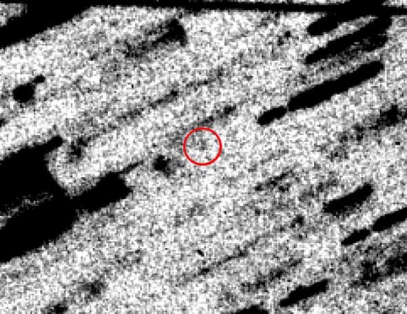Cold Comet Halley