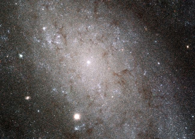 The Stars of NGC 300