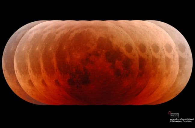 Pumpkin Moon