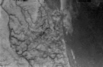 Huygens Images Titan's Surface