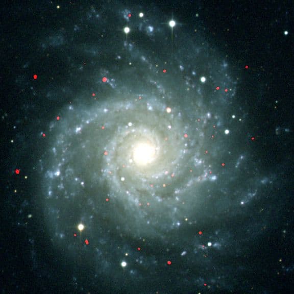 ULXs in M74