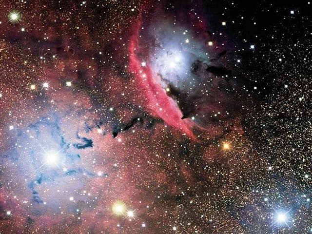 Stars, Dust and Nebula in NGC 6559
