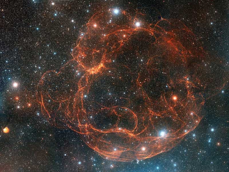 Simeis 147: Supernova Remnant from Palomar