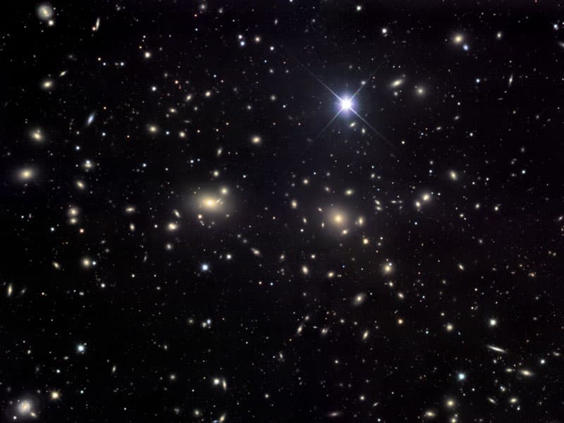 The Coma Cluster of Galaxies