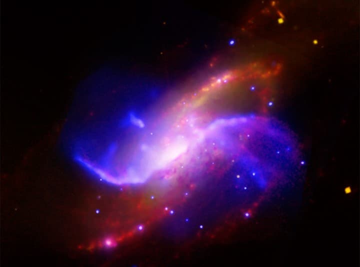 The Arms of NGC 4258