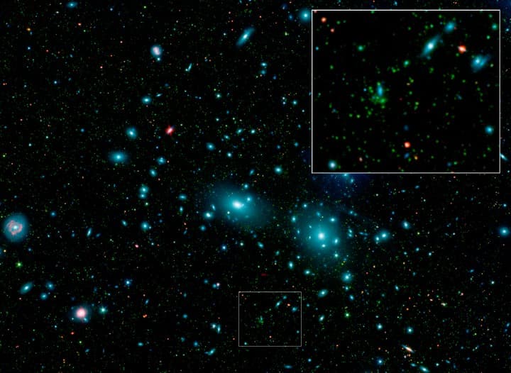 Dwarf Galaxies in the Coma Cluster