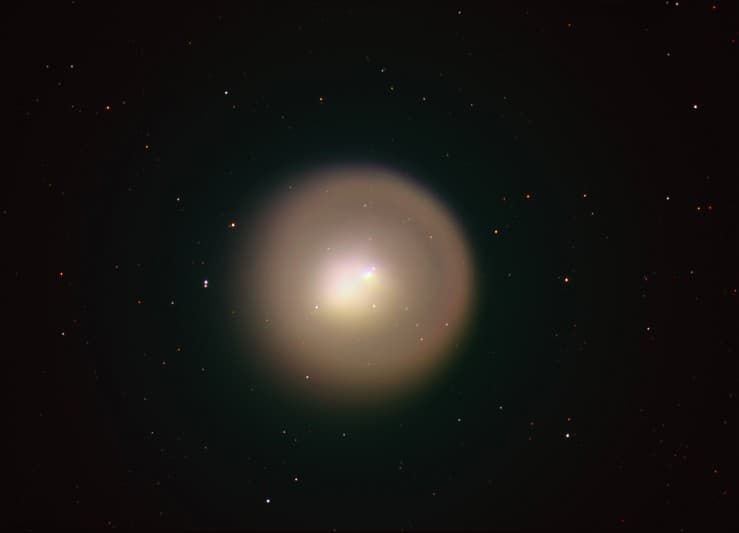 Golden Comet Holmes