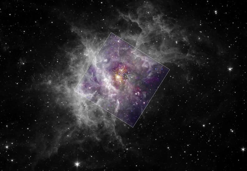 Young Star Cluster Westerlund 2