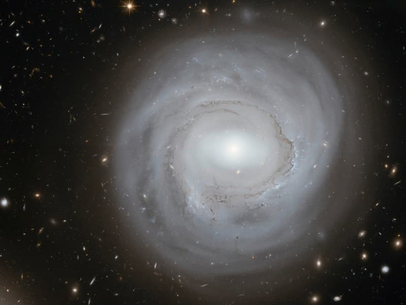 Anemic Galaxy NGC 4921 at the Edge