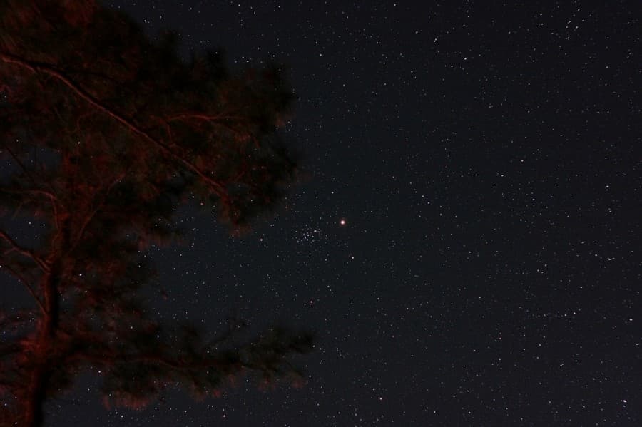 Mars in a Manger