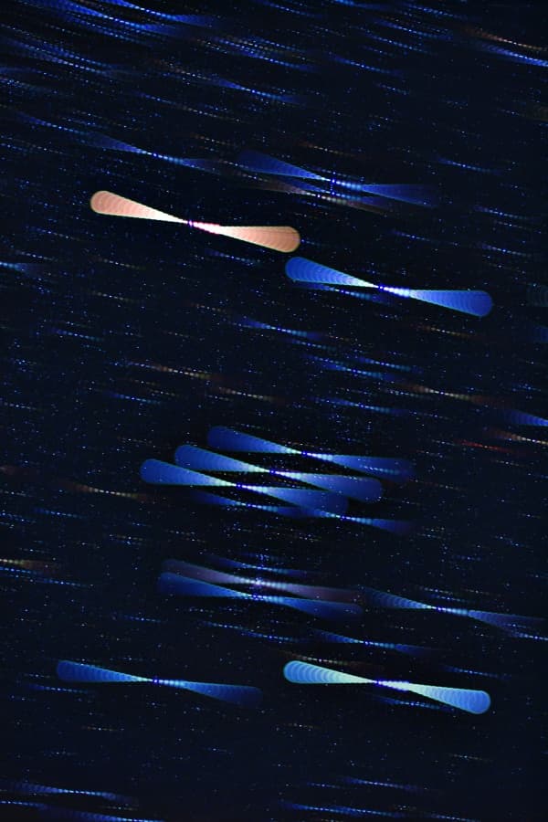 Star Colors in Orion