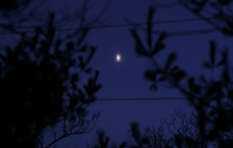 An Unusual Venusian Oval