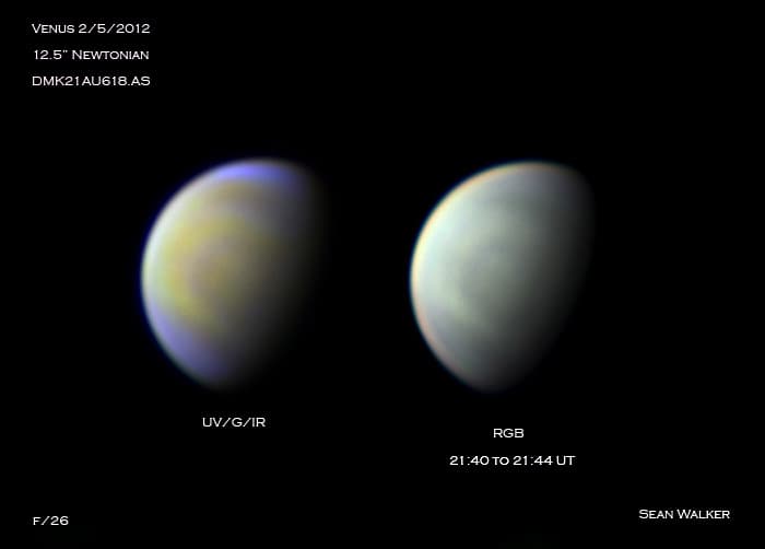 Multicolor Venus
