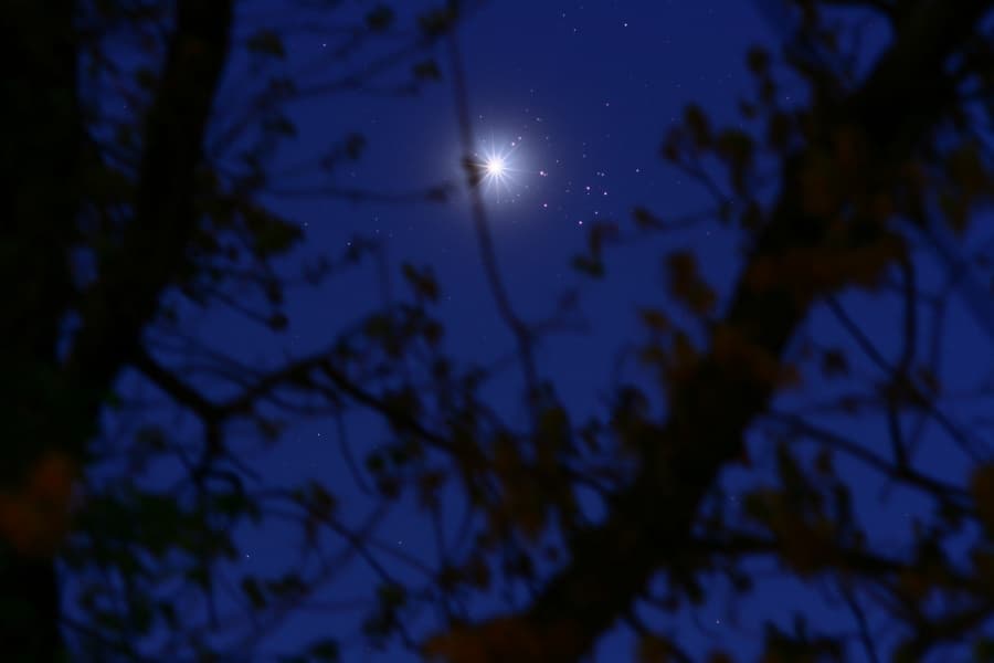 Conjunction
Haiku