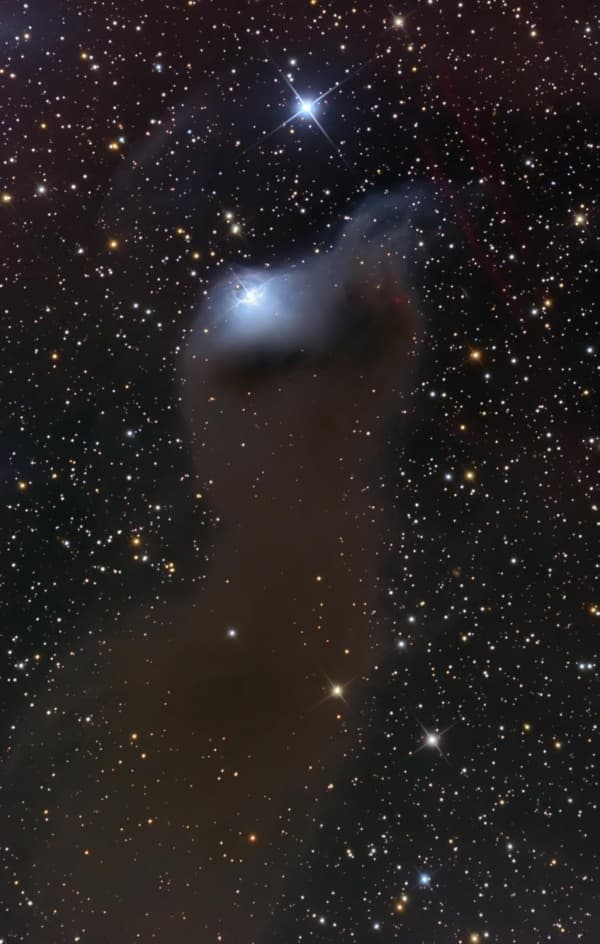 VdB 152: A Ghost in Cepheus