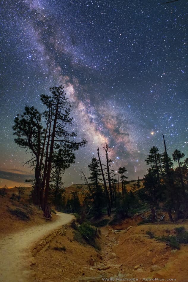 The Milky Trail