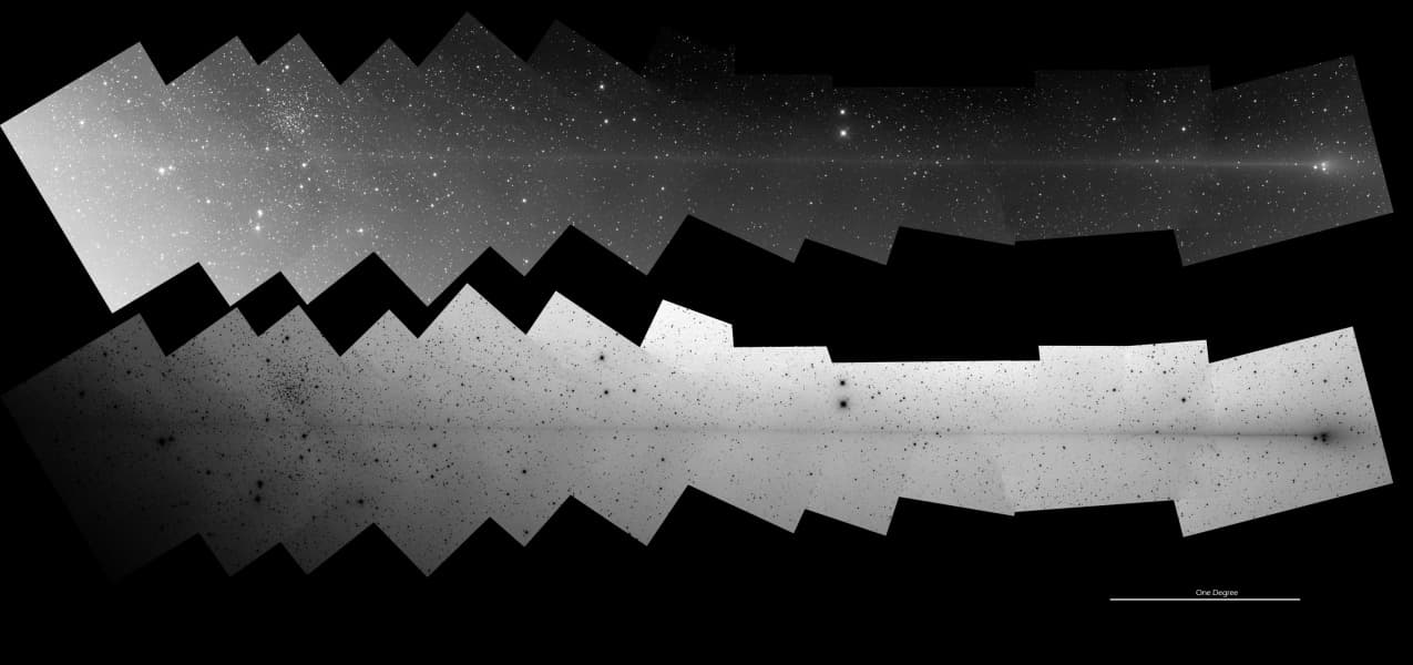 PanSTARRS: The Anti Tail Comet