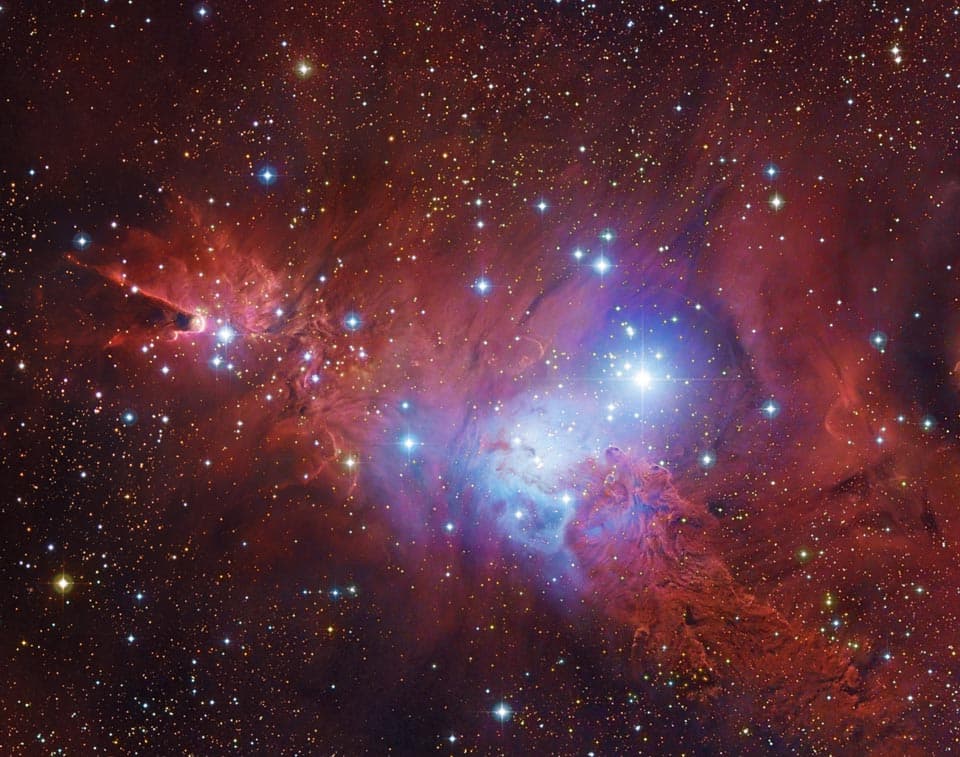 In the Vicinity of the Cone Nebula