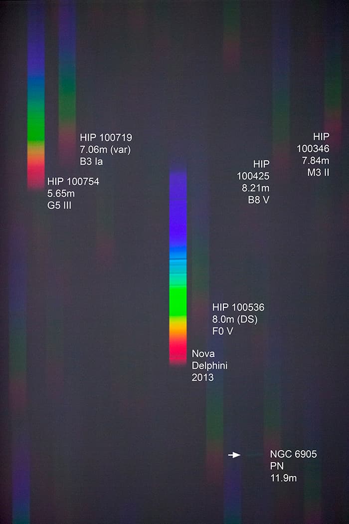 A Spectrum of Nova Delphini