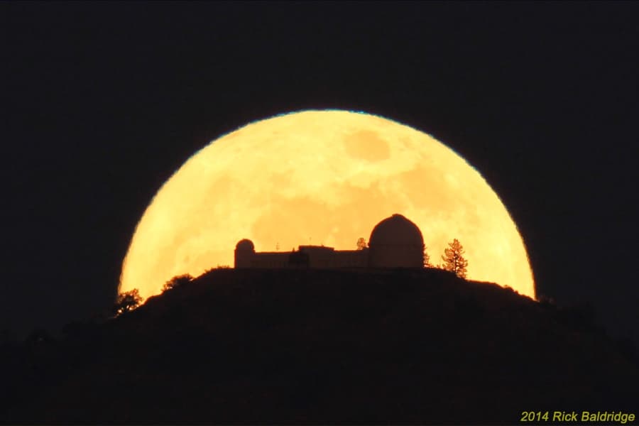 Apogee's Full Moon