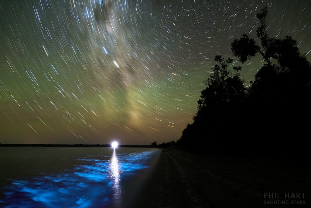 A Luminous Night