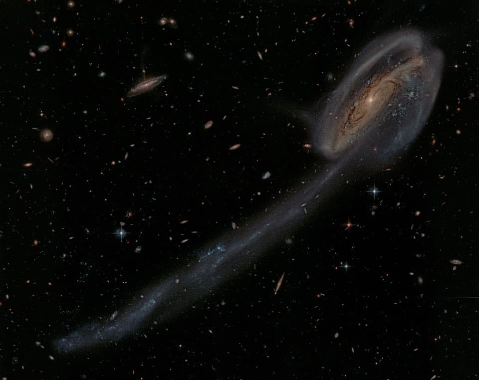 Arp 188 and the Tadpole's Tail
