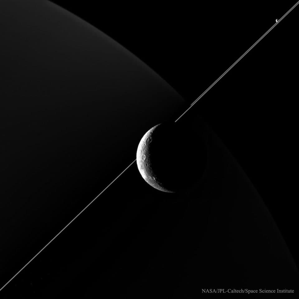 In the Company of Dione