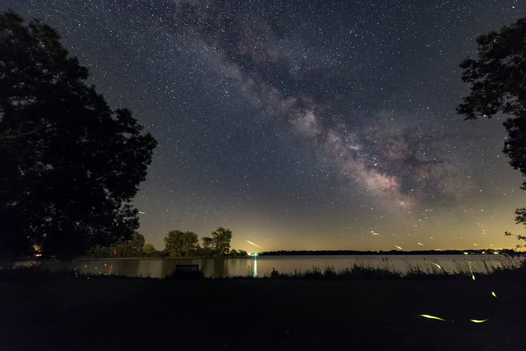 Firefly Trails and the Summer Milky Way