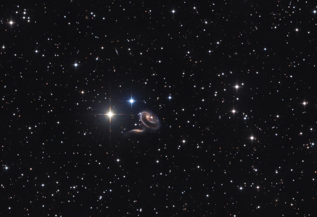 Peculiar Galaxies of Arp 273