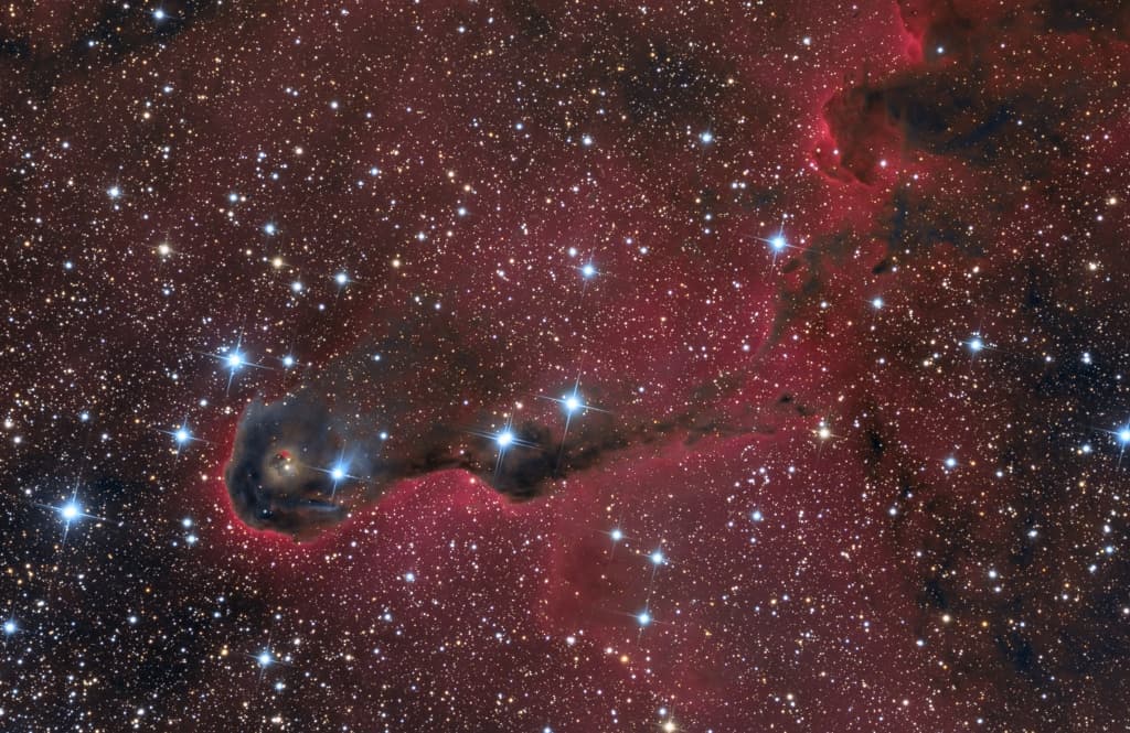 The Elephant's Trunk Nebula in Cepheus