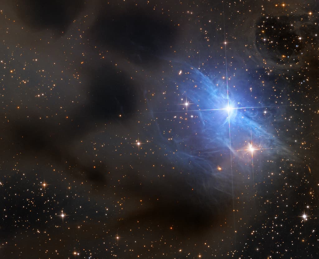 Reflections on vdB 31