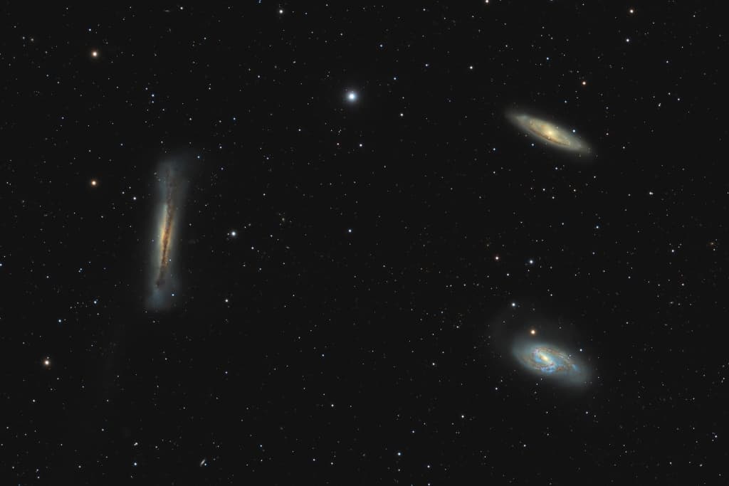 Leo Trio