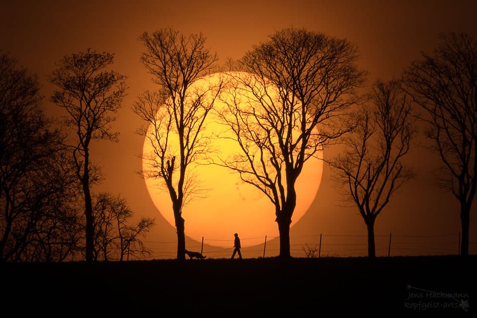 Man, Dog, Sun