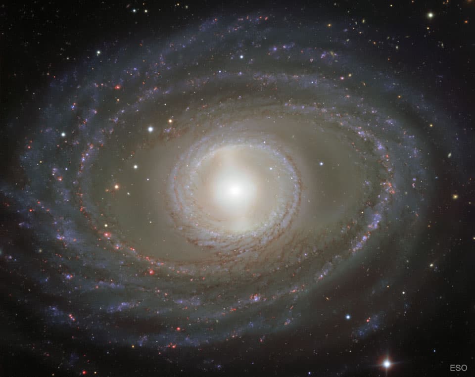 Ribbons and Pearls of Spiral Galaxy NGC 1398
