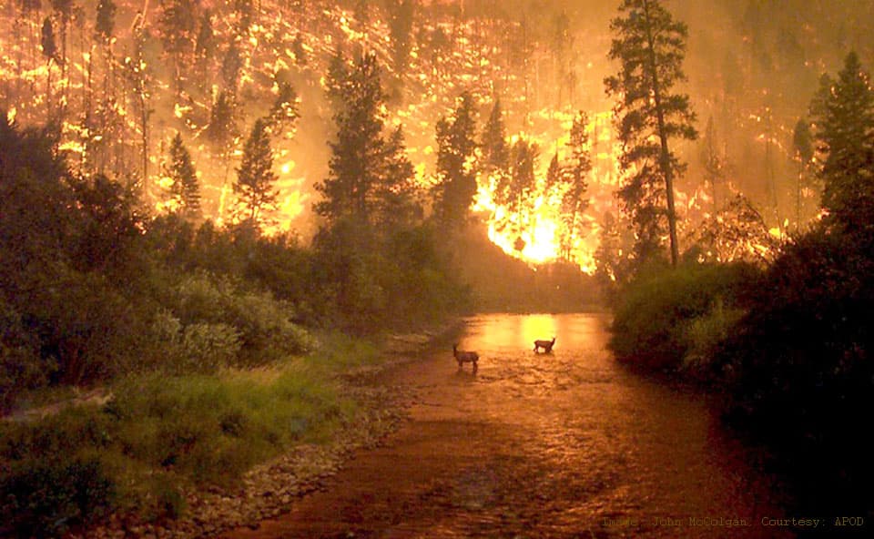 Fire on Earth