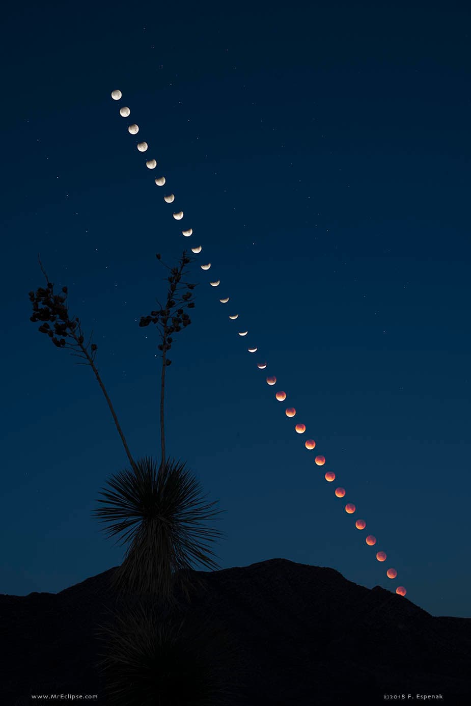 Total Lunar Eclipse at Moonset